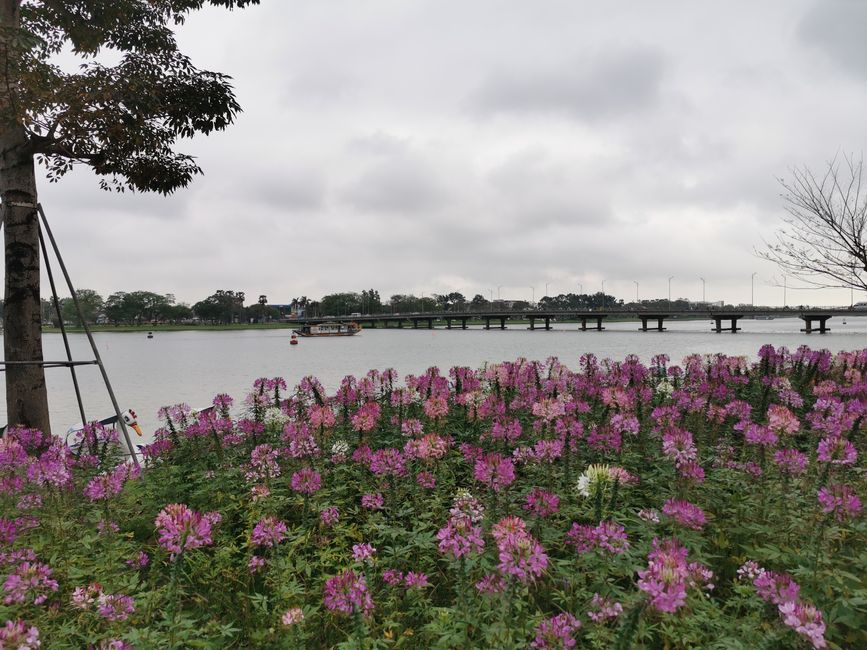 ... Vue sur la rivière des Parfums... le motif du nom se voit au premier plan... Partout des fleurs parfumées..