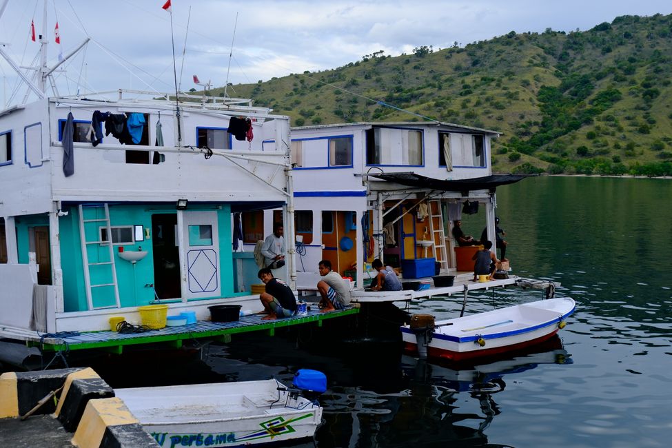 Boat expedition to Flores ⛴️