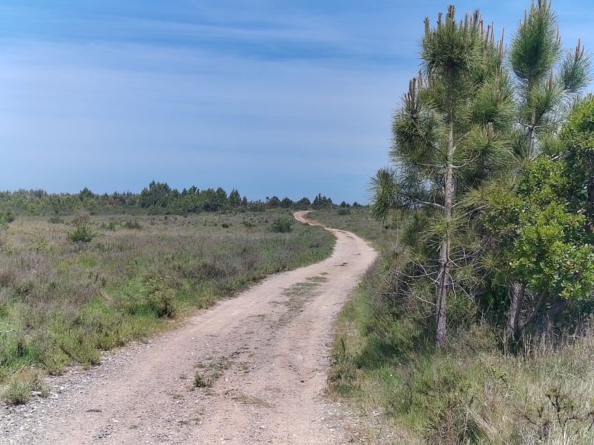 Aljezur -> Odeceixe