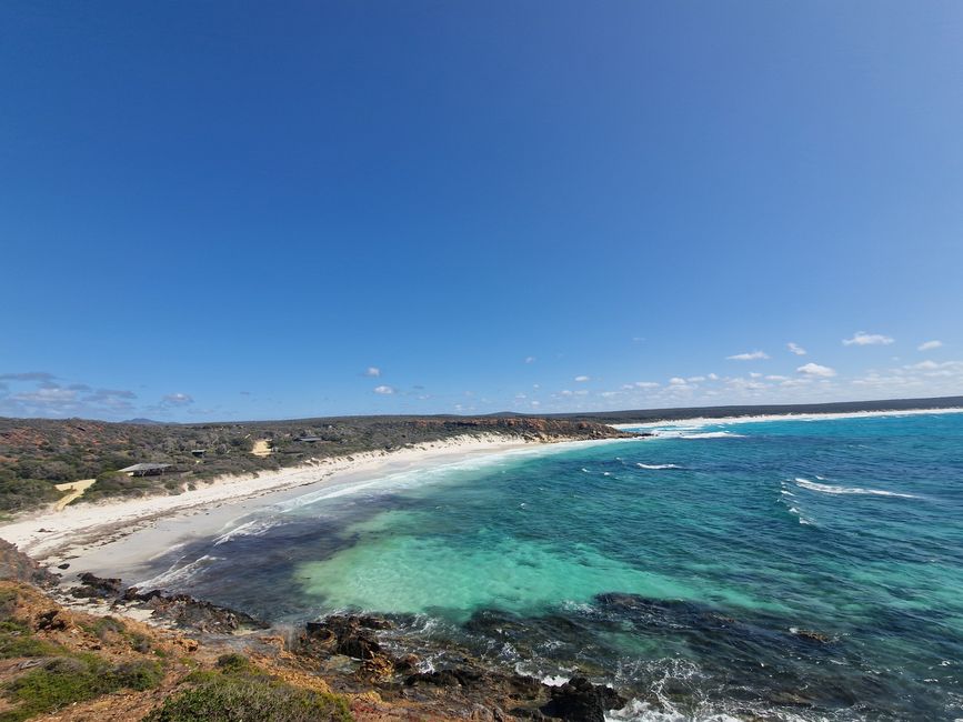 Point Ann aún sin ballena