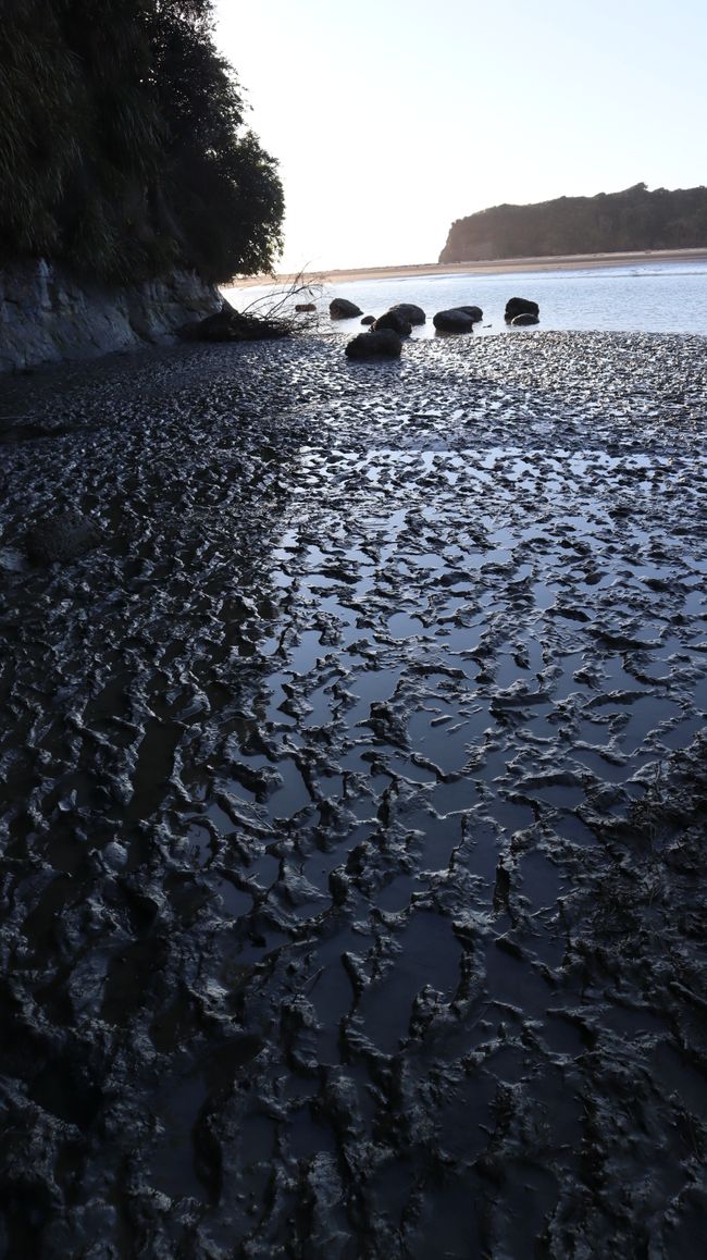 Der Weg zu den Three Sisters und Elephant Rock geht nur durch den schlammigen Bereich der Flussmündung bei Ebbe