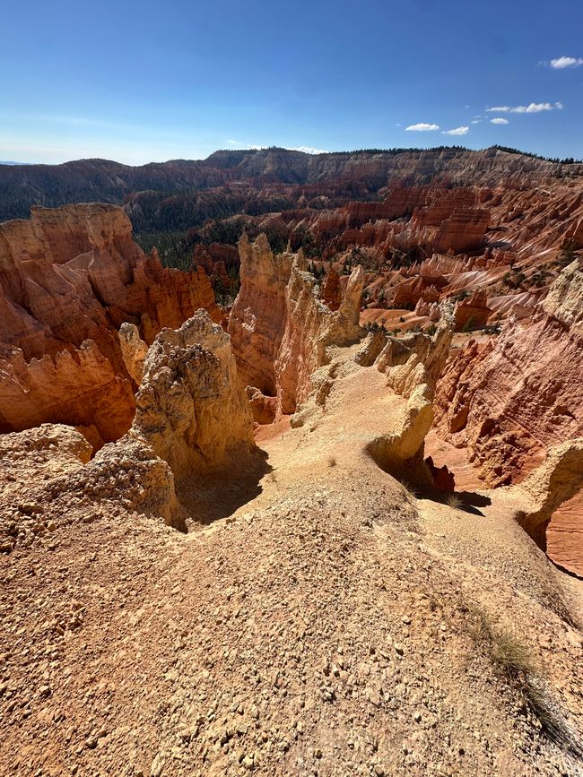 Tierra de Cañones: Zion y el Cañón de Bryce❤️