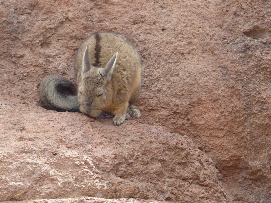 Chile, San Pedro de Atacama