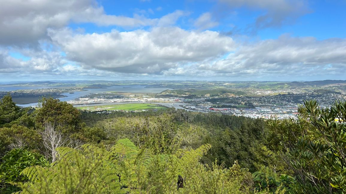 Ausblick über Whangarei vom Hausberg Mount Parihaka