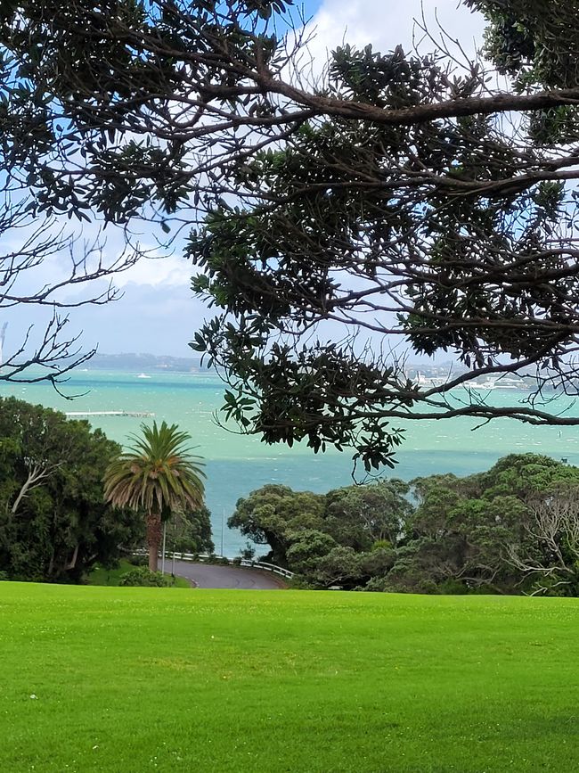 Day 79 of 175: World Cruise - Auckland/New Zealand