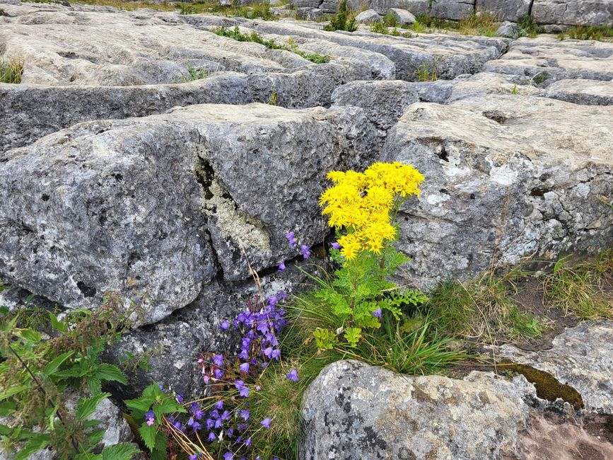 Hike around Malham