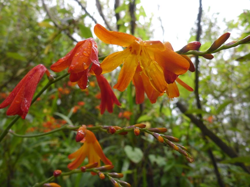 Avec des gouttes de pluie