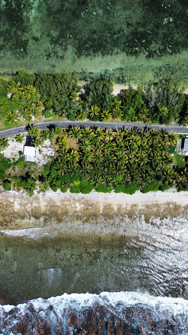 La isla tiene en algunos lugares solo alrededor de 5m de ancho