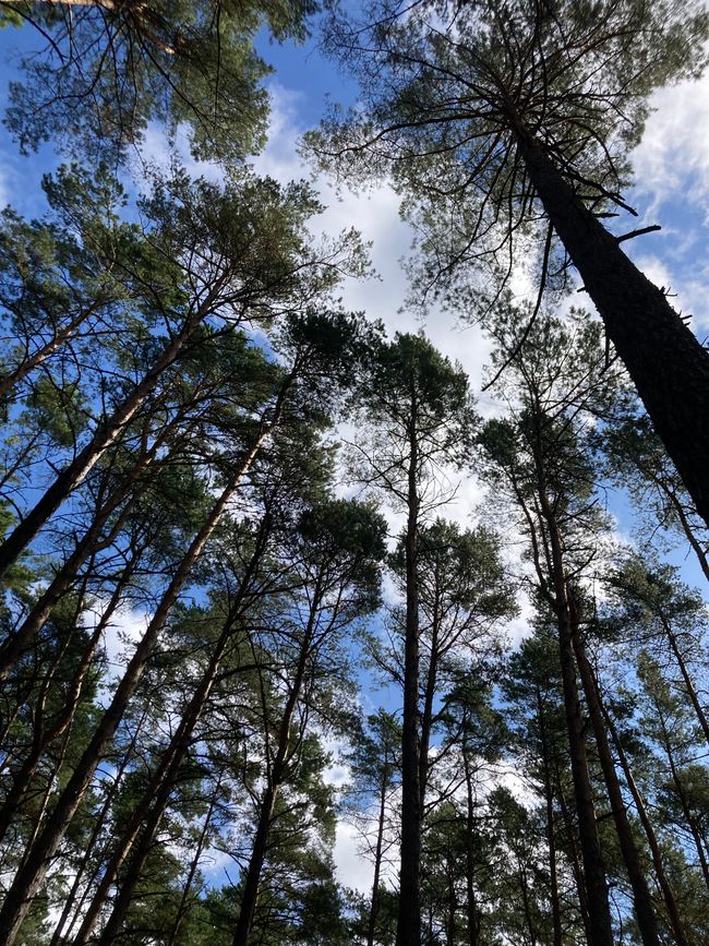 Karlshagen - immer mehr, immer mehr, immer mehr…