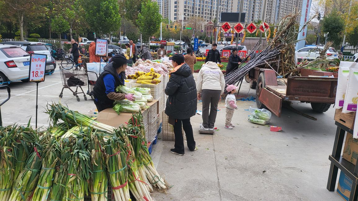 farmers' market