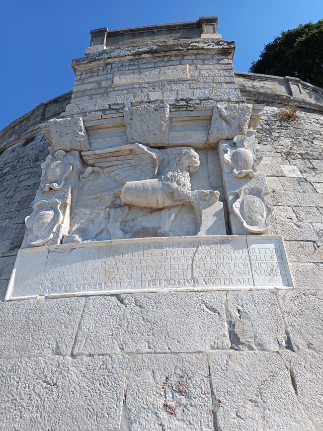 Venezianischer Löwe