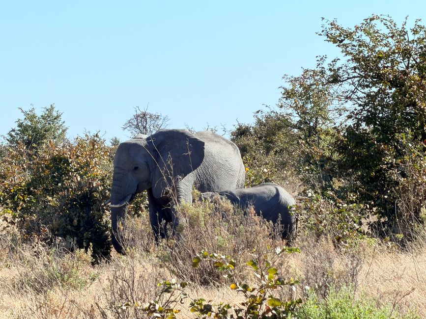 Abschied von Botswana