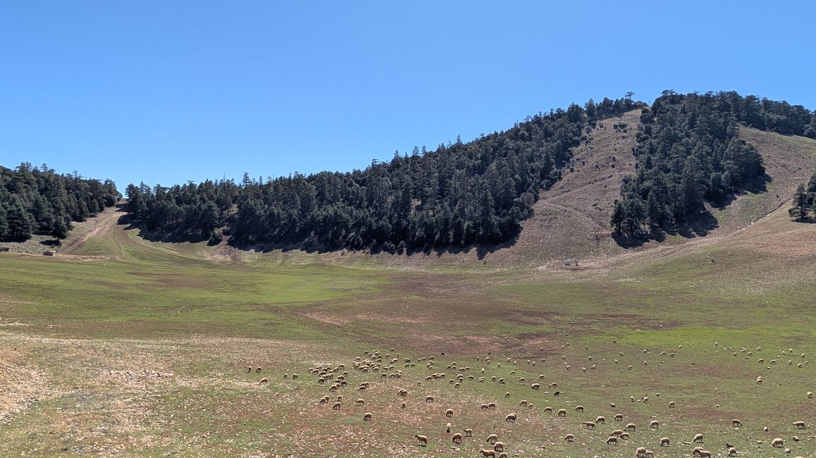 Azrou