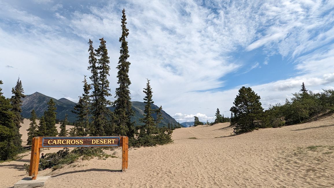 Carcross Desert