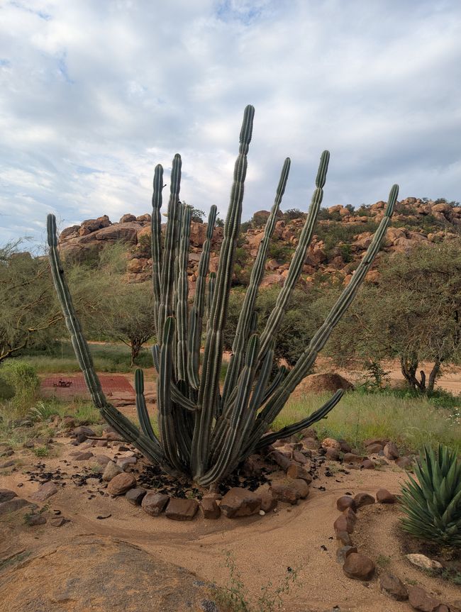 Chaîne de montagnes d'Erongo et Lodge Ai Aiba