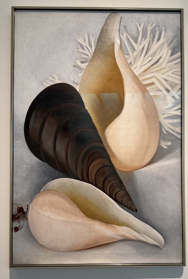 Musée Georgia O'Keeffe