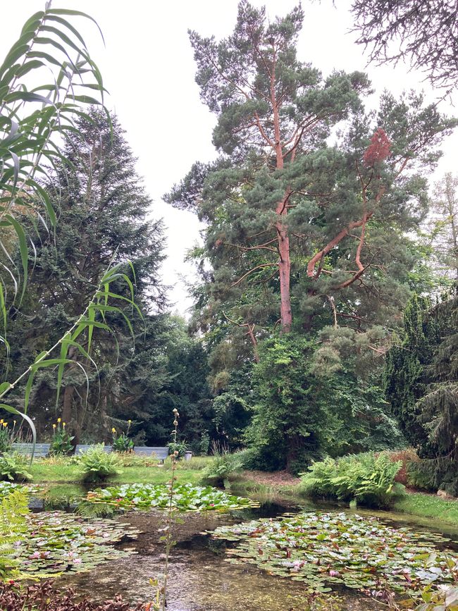 Arboretum