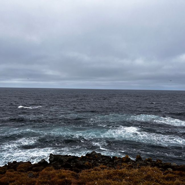 Arctic Circle