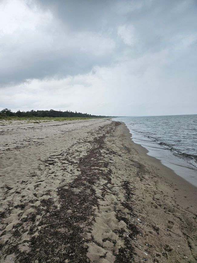 Strand von Marielyst
