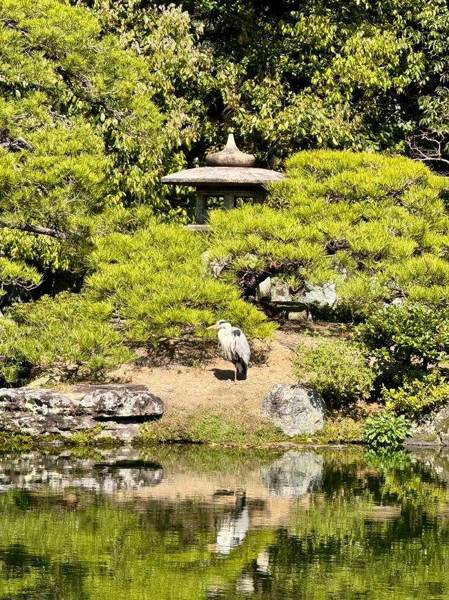 Part 8 Japan 🇯🇵 Kanazawa