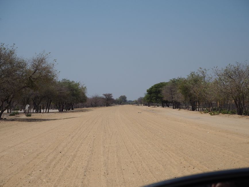 Safari pur-das Abenteuer beginnt