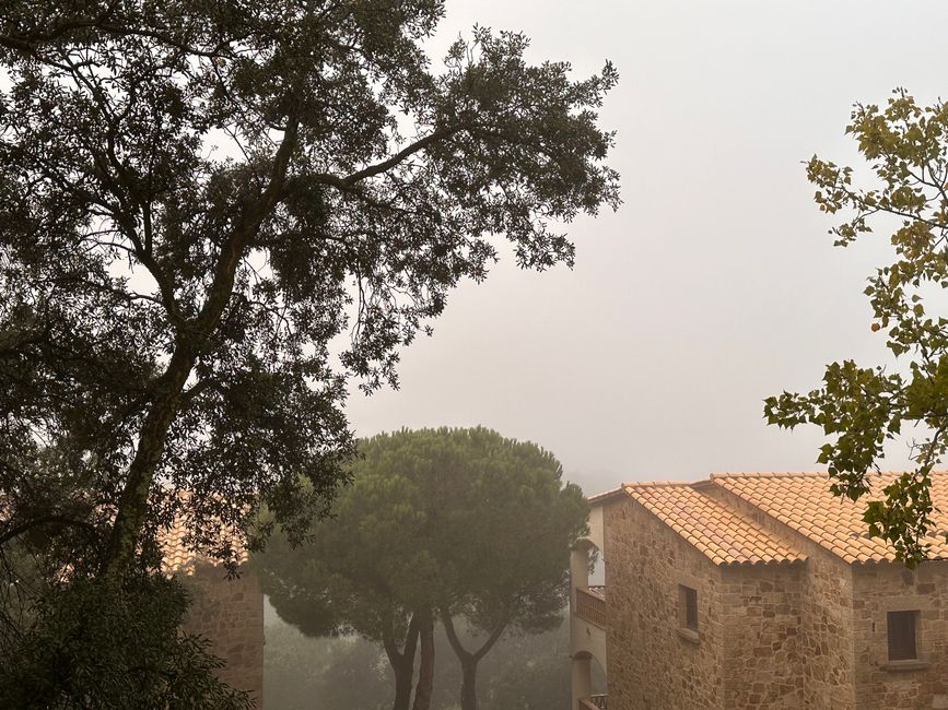 Día de lluvia en Mas Nou