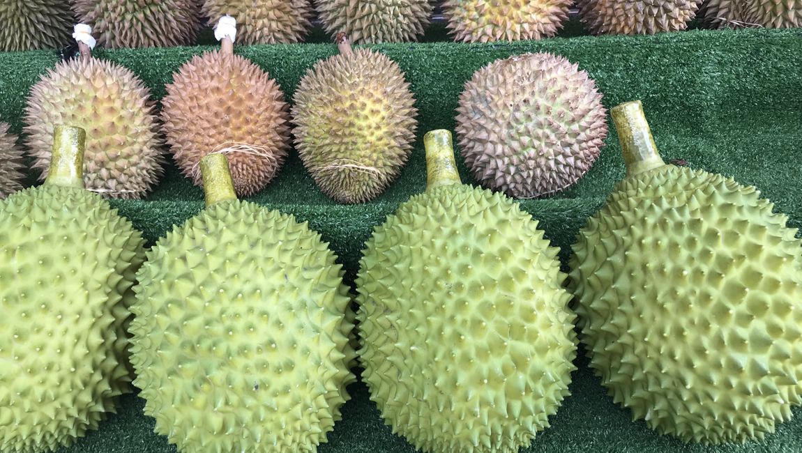 Durian ou fruit puant