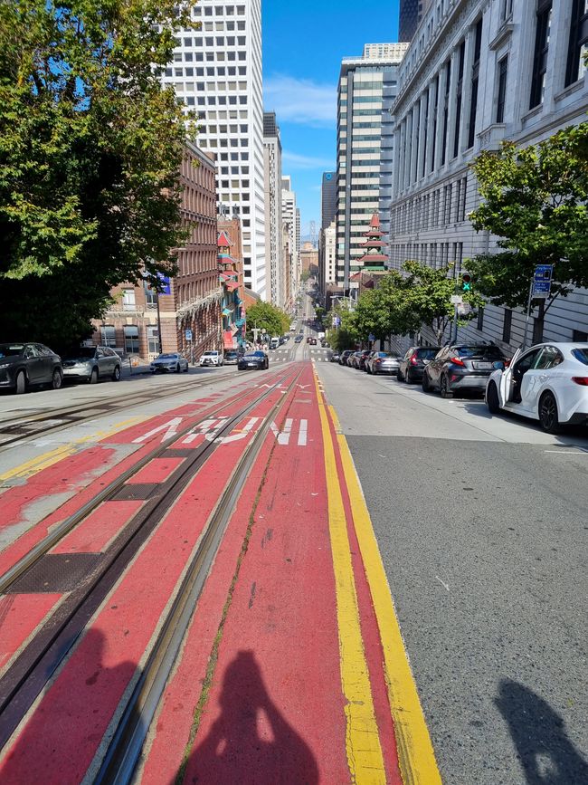 Californie 2025, Jour 9, Pier 39, Alcatraz, Chinatown et Lombard Street
