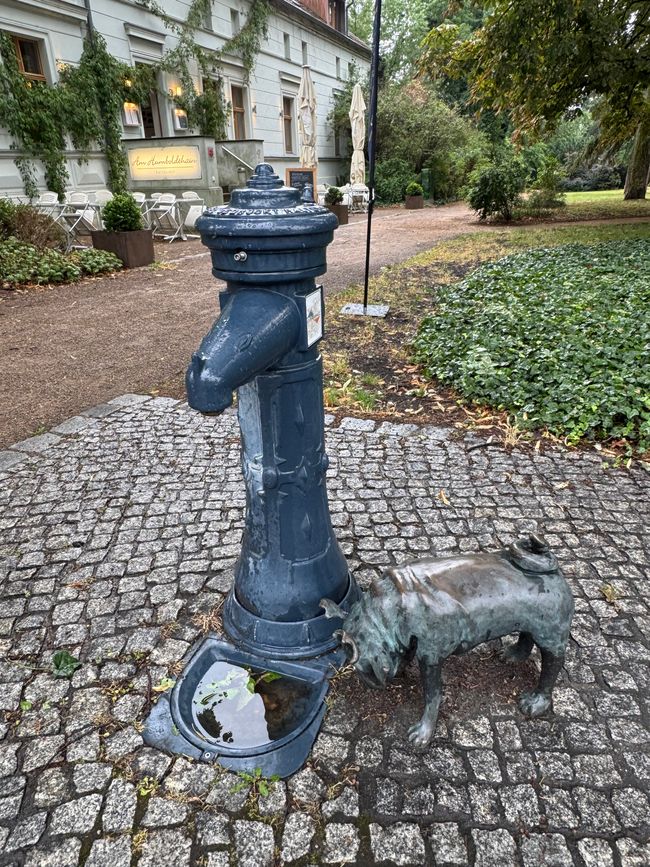 Brandenburg (Havel)