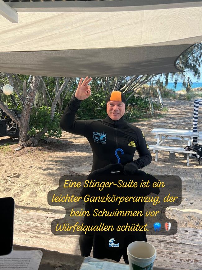 Eine Stinger-Suite ist ein leichter Ganzkörperanzug, der beim Schwimmen vor Würfelquallen schützt. 🪼🛡️🌊