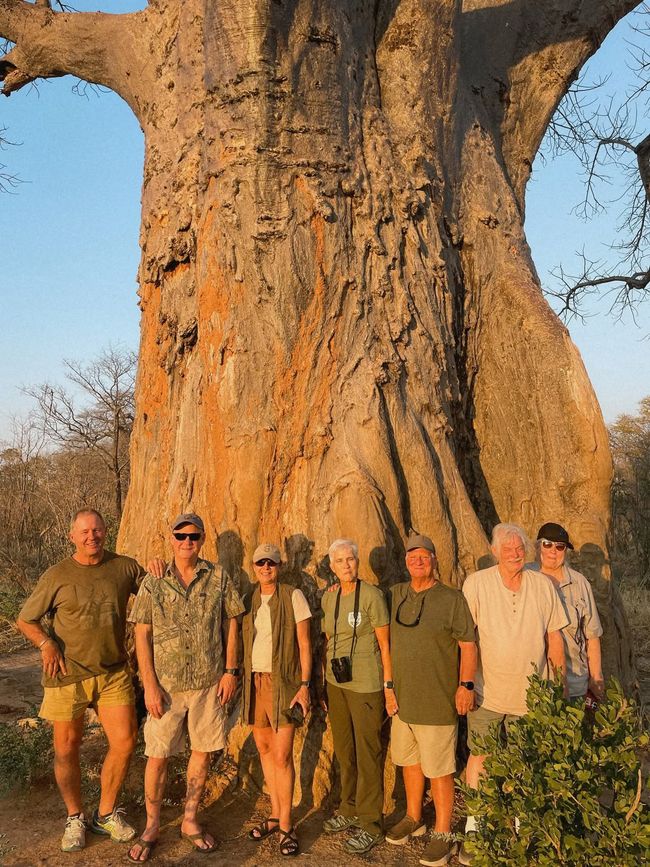 CHIRORODZIVA TOURS

 "Explore Zimbabwe 🇿🇼  The right way"
