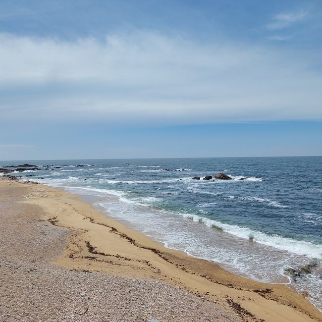 Porto -> Mar