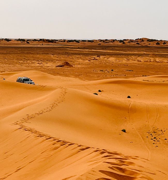 4x4 off-road tour through the desert