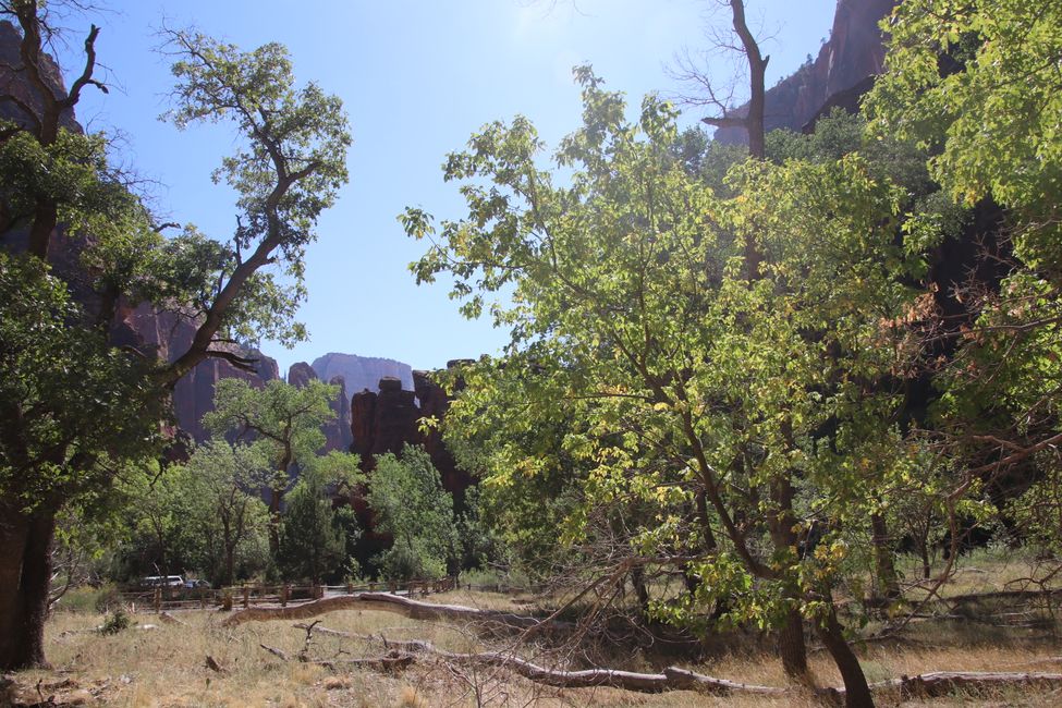 Zion Canyon