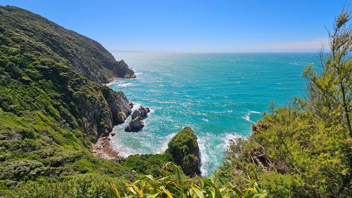 Abel Tasman Coastal Track