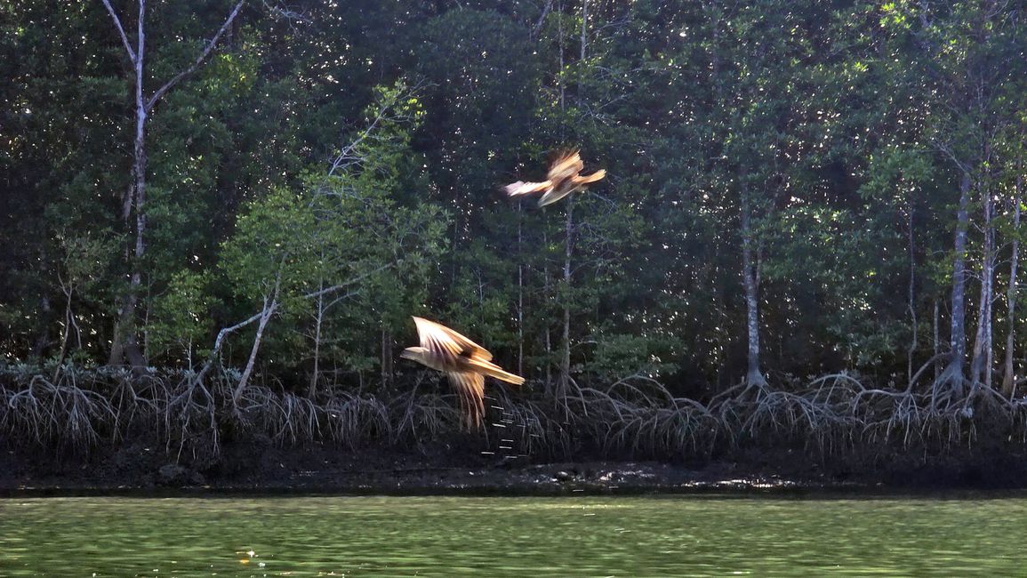 Langkawi - Reif für die Insel!