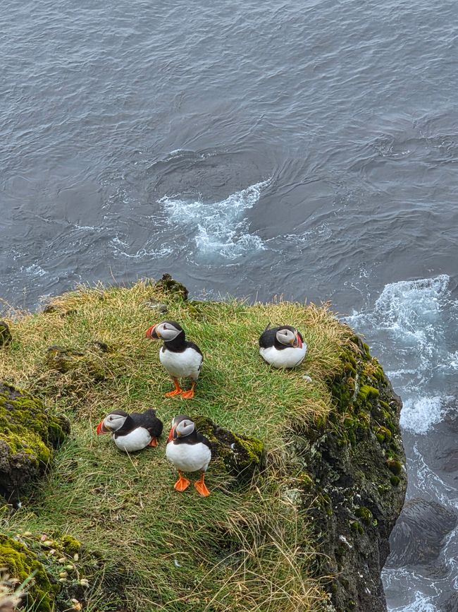 Vestmannaeyjar😎