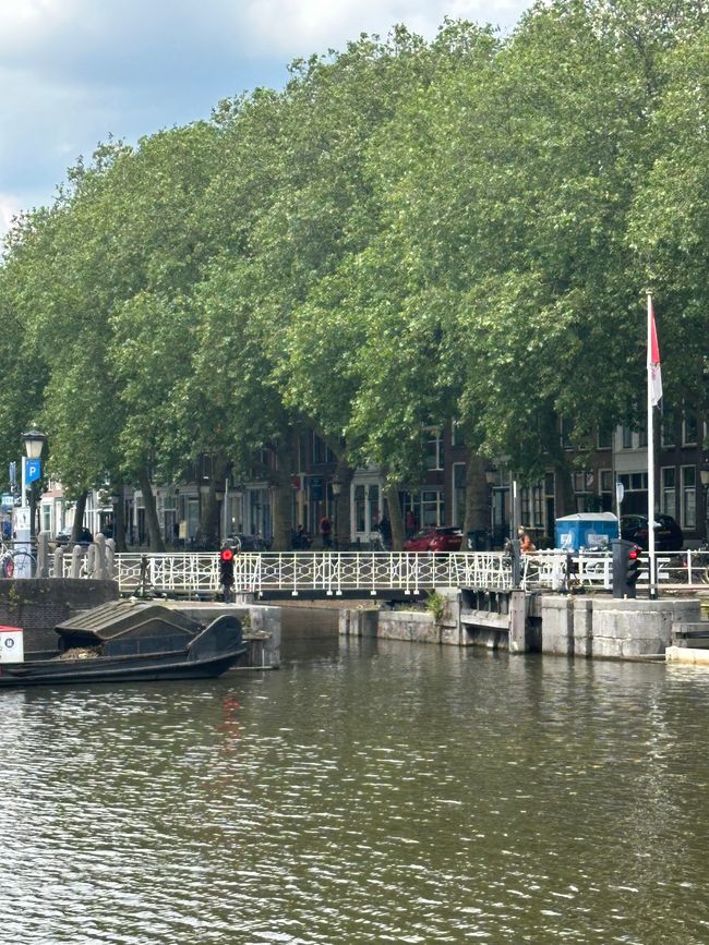 Hollandtour mit Start in Utrecht 🤘