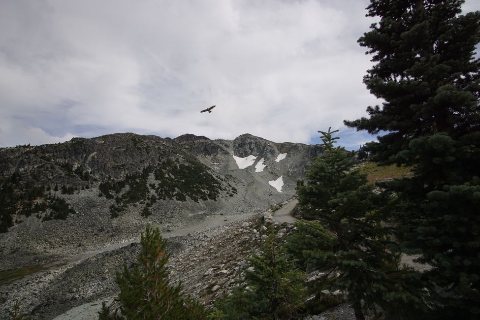 Tag 14 und 15: Whistler