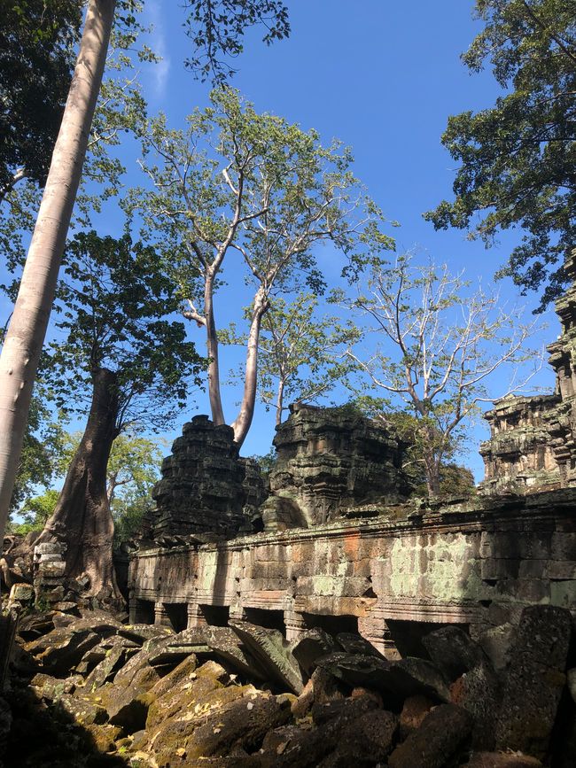 Tempel Ta Prohm