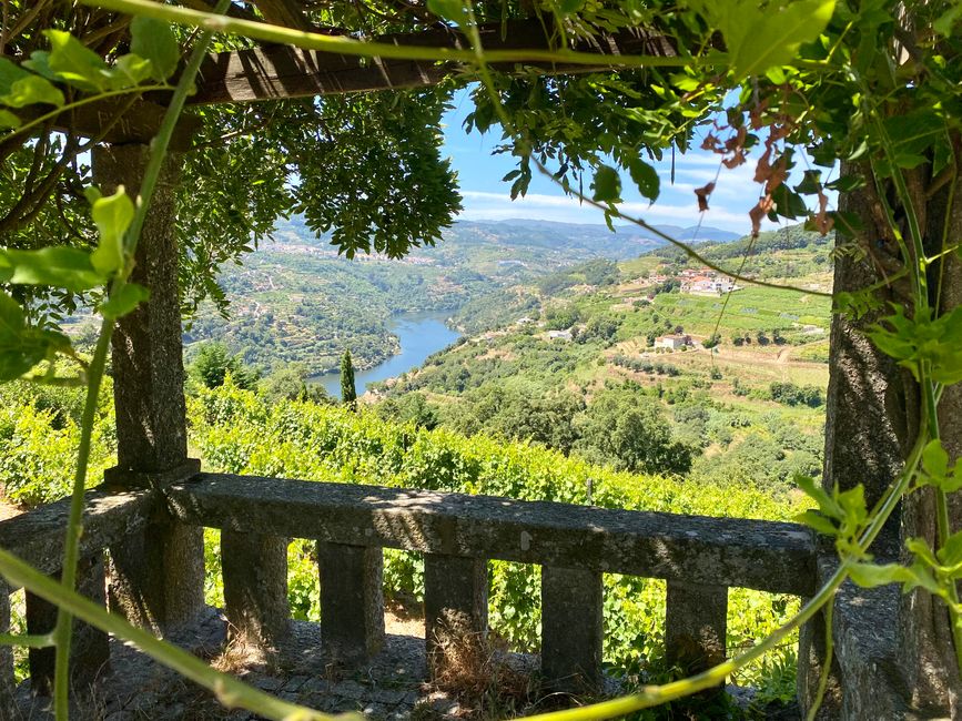 Continuing through the stunning Douro Valley towards Pinhao