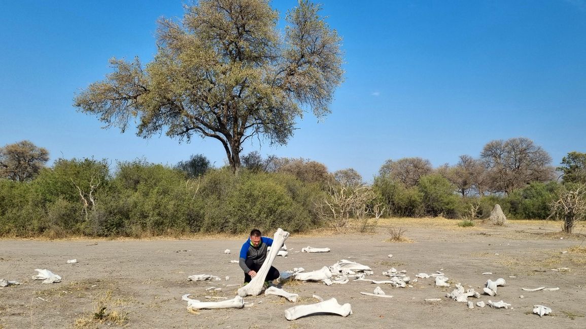 Simbabwe / Botswana 2024