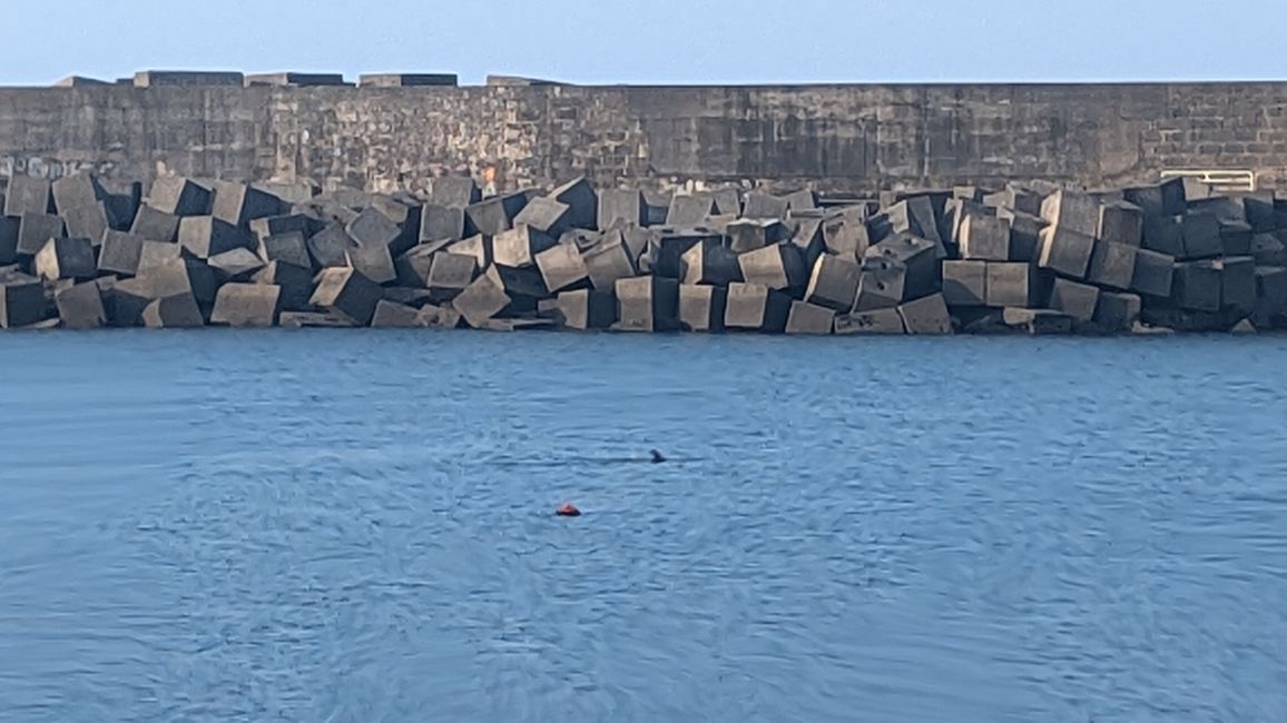 Sechste Etappe Camino Portugues da Costa von A Guarda nach Viladeduso