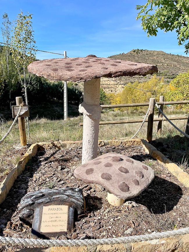 Quelques modèles de champignons surdimensionnés au bord du chemin illustrent que de nombreux cueilleurs de champignons se trouvent ici.