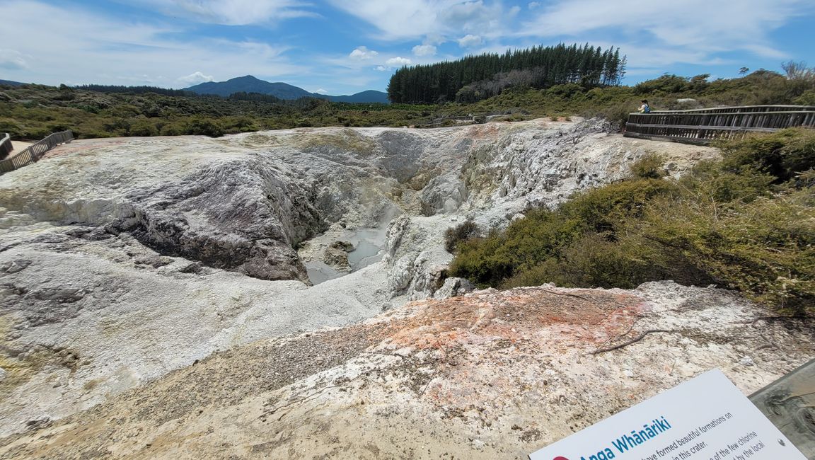 In Wai-O-Tapu National Park and at Lady Knox