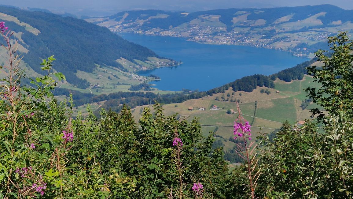 Blick zum Ägerisee ab Mostelberg