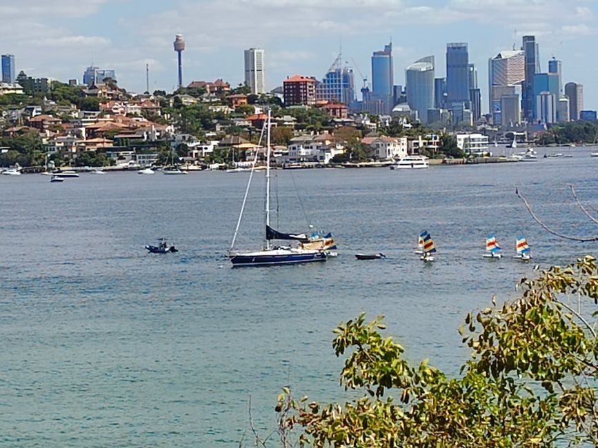 Le baie e le spiagge di Sydney ....