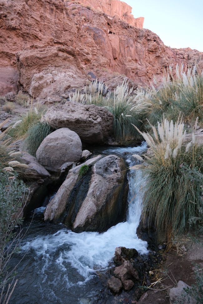 Désert d'Atacama 🦙🦩🌵