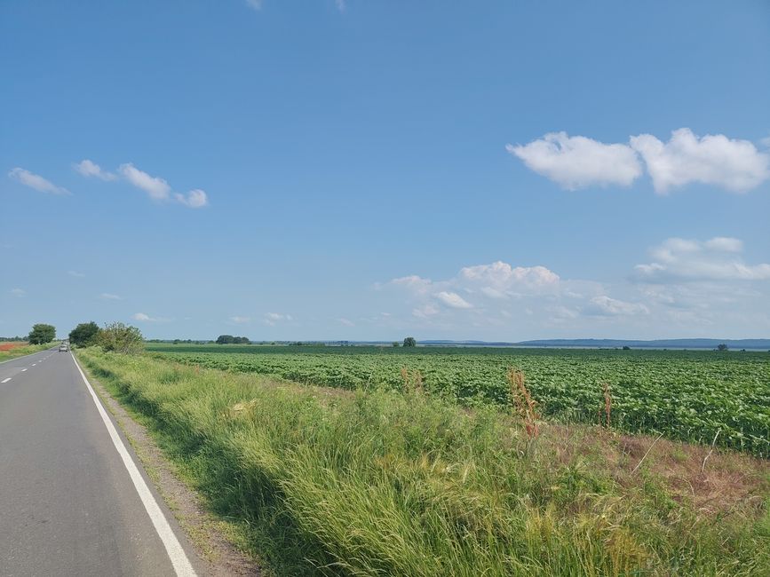 Geradeaus