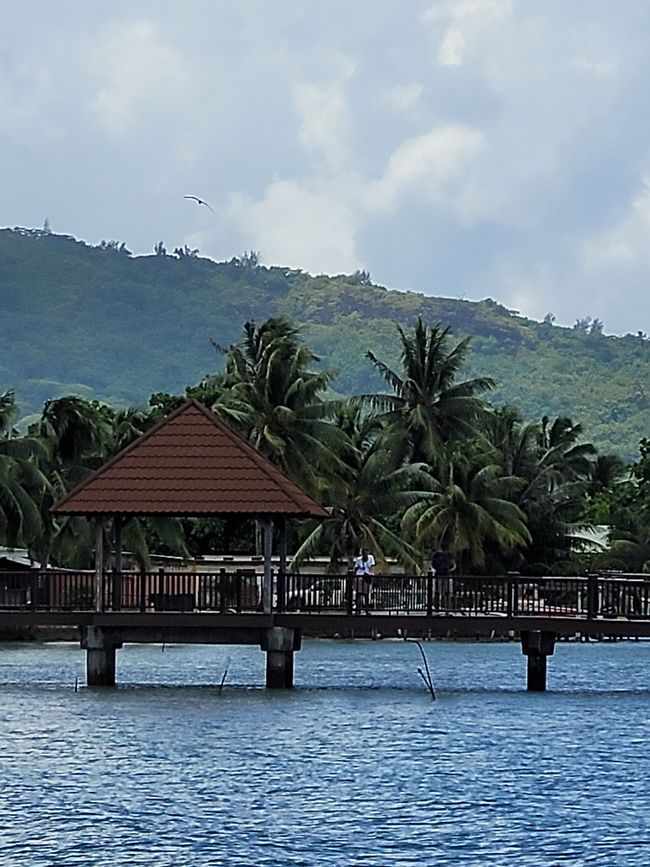 Tag 65 und 66 von 175: Kreuzfahrt rund um die Welt - Bora Bora